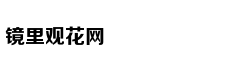 [西部半决赛]火箭100-10